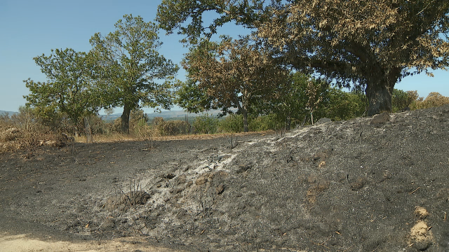 Investigadas 39 persoas no que vai de ano como presuntas autoras de incendios en Galicia
