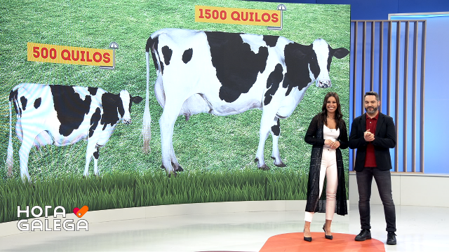 Marquesa e os seus 1.500 quilos!