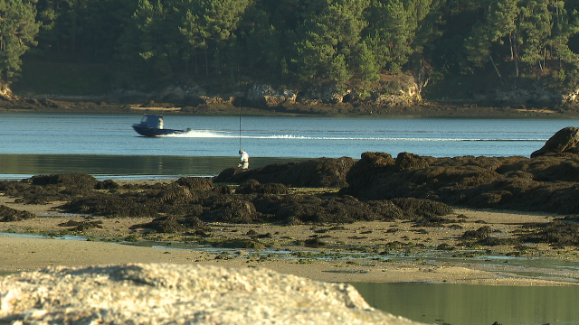 Segue o peche cautelar para a extracción de berberecho e ameixa na ría de Muros-Noia