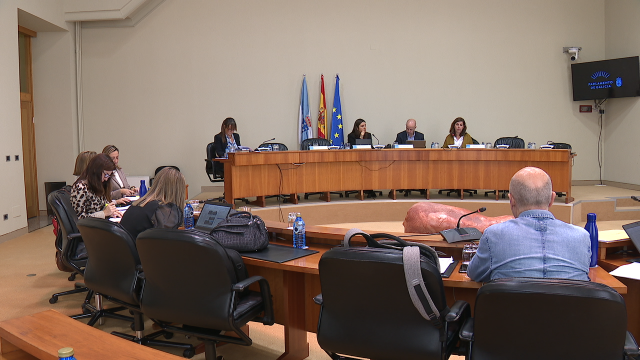 O Parlamento de Galicia reclámalle ao Goberno un incremento das posibilidades de pesca do bonito