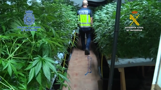 Cae unha rede de tráfico de droga entre os Países Baixos e España