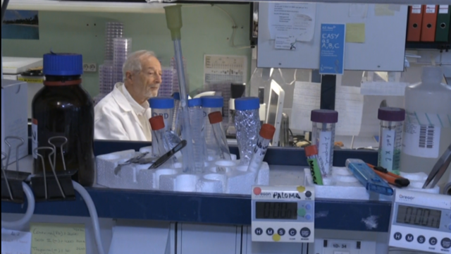 Expertos aseguran que a inmunidade esterilizante chegará coas vacinas intranasais