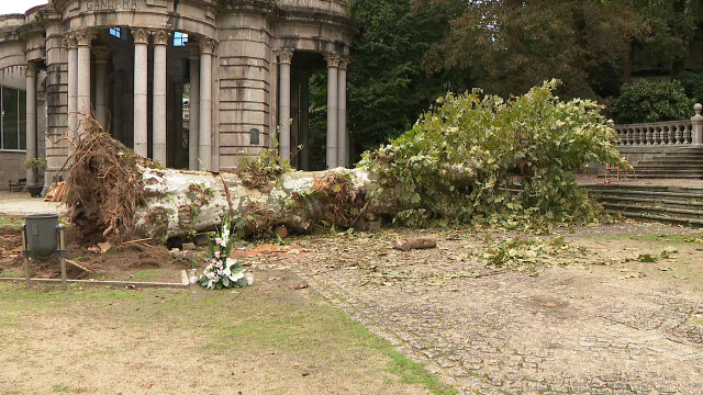 Segue ingresado o marido da muller que faleceu tras caerlle unha árbore en Mondariz-Balneario