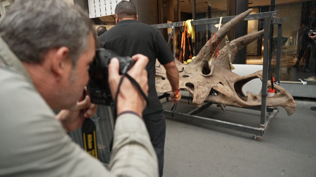 Un coleccionista paga máis de seis millóns de euros por ter os restos dun dinosauro