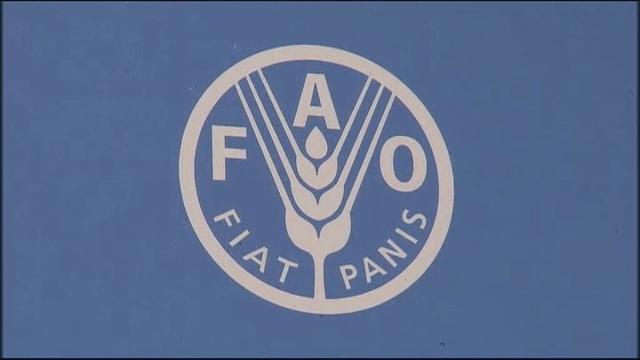 O Senado apoia que a FAO abra unha oficina en Vigo