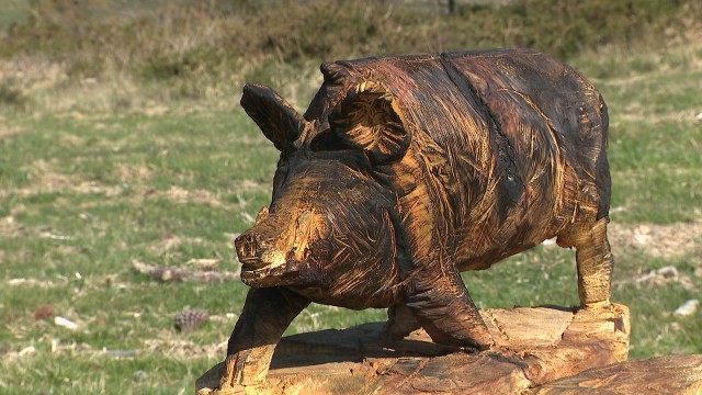 Galicia permitirá a caza entre o 17 de outubro de 2021 e o 6 de xaneiro de 2022