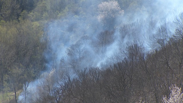 As queimas forestais quedan prohibidas en Galicia desde o sábado