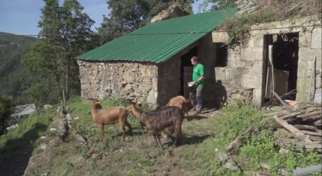 'Cos pés na terra' visita esta semana dous gandeiros que coidan dunha multitude de especies
