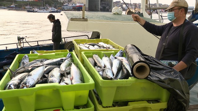 O Goberno actualiza as cotas de xarda coa dedución da multa por sobrepesca