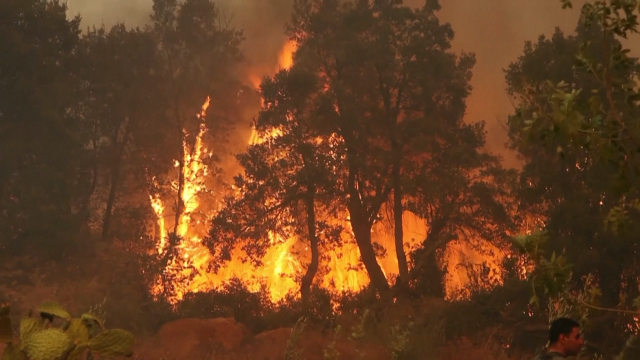 Case toda España estará este venres en risco de incendios polas altas temperaturas