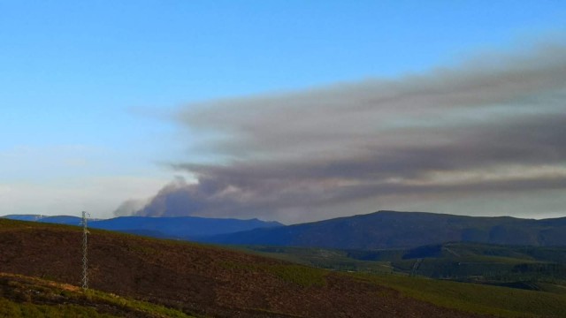 Extinguido o incendio forestal da Mezquita que afectou 161 hectáreas