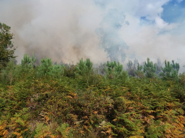 Activo un incendio en Cuntis e extinguido o de Quiroga