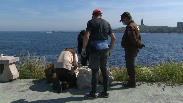 Mar insta a bateeiros e percebeiros a acordaren unha nova repartición de zonas