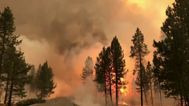 Medra o maior lume forestal dos Estados Unidos