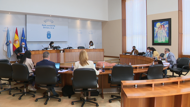 O Parlamento demanda estender as axudas de coidado de menores con cancro máis aló dos 18 anos