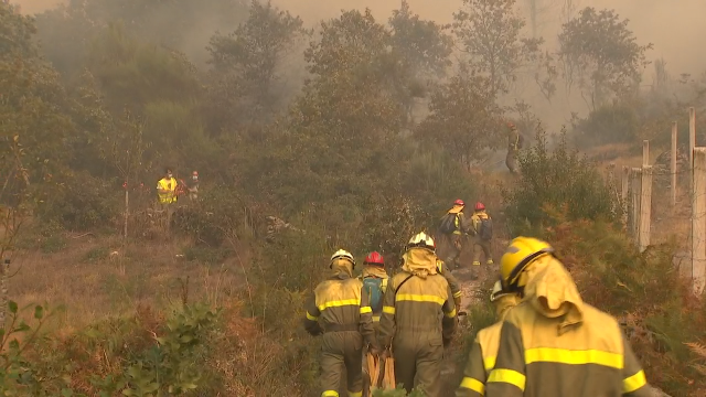 Arderon case 15.000 hectáreas nos incendios forestais que afectaron Galicia no 2020