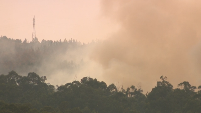 Un incendio forestal en Rois afecta vinte hectáreas de terreo