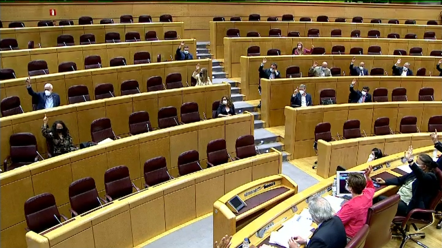 O Senado insta o Goberno a elaborar un plan de desenvolvemento da produción de baterías de ións de litio