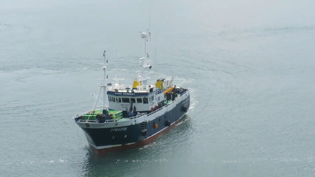 Irlanda libera o pesqueiro de Celeiro detido hai quince días por presunta pesca ilegal