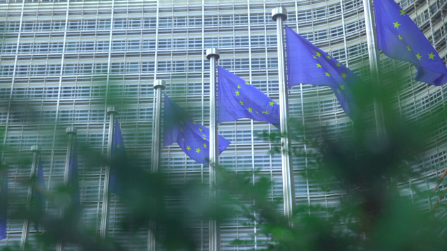 O novo pacto migratorio da UE rexeita as cotas de acollida