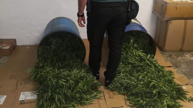 Deteñen un veciño de Cualedro con 61 quilos de xemas de marihuana