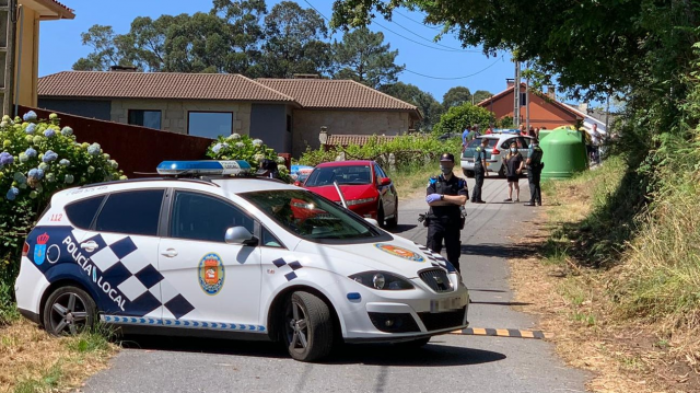 Falece pola picadura dunha avespa velutina un veciño de Raxó, que era alérxico